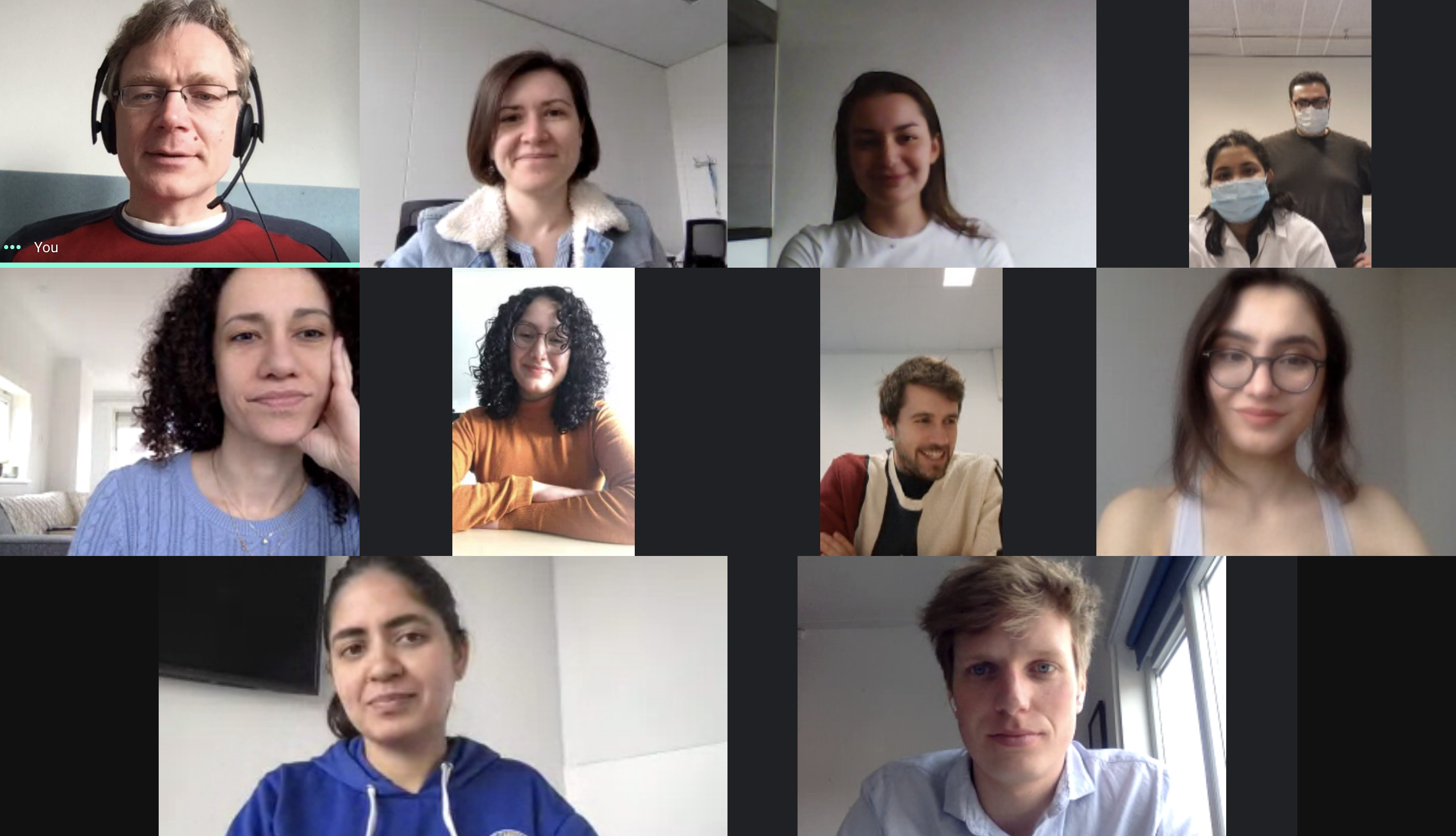 Image of group meeting online, Feb 2021.