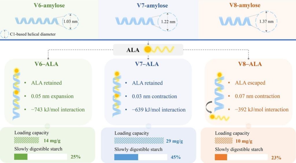 Graphical abstract from the journal website (CC)